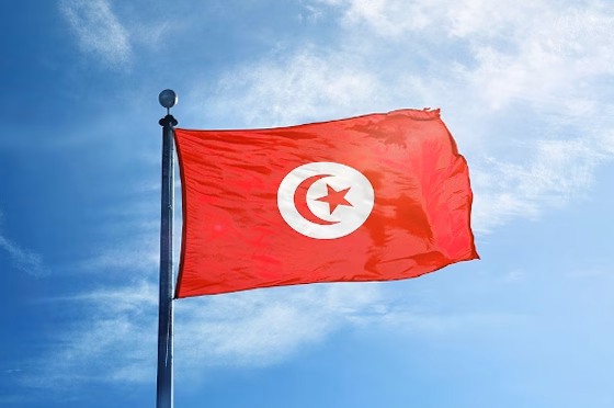 Illustration pour L'économie de rente en Tunisie : un héritage beylical et colonial